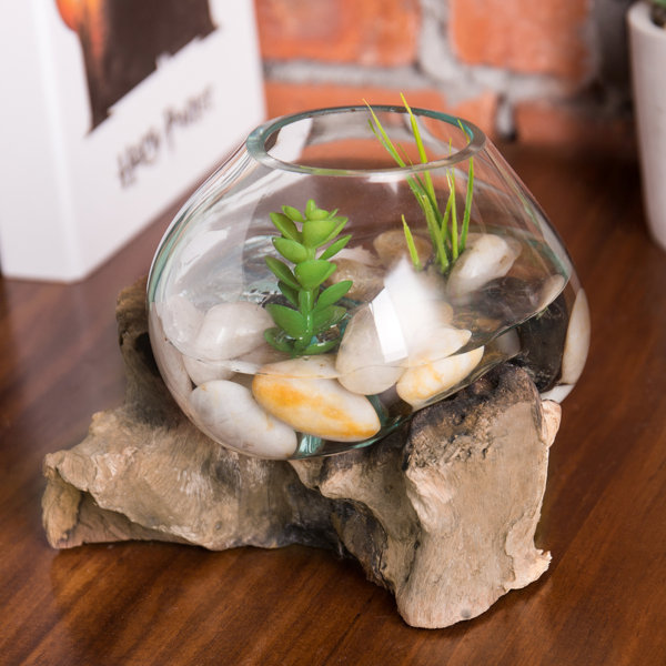 Millwood Pines Glass Bowl Plant Terrarium With Driftwood Wayfair